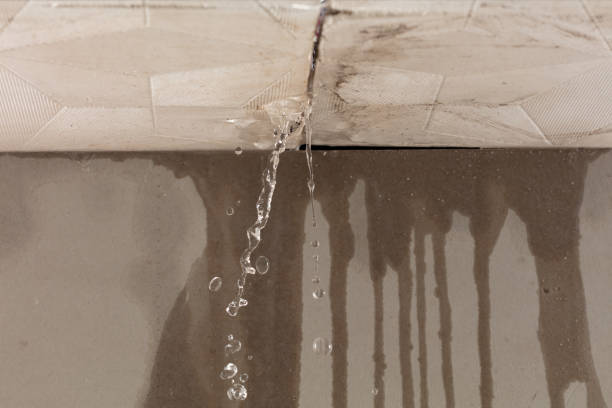 Professional Water Damage Repair technician working in North East, PA